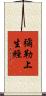 彌勒上生經 Scroll