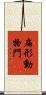 扁形動物門 Scroll