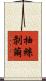 抽絲剝繭 Scroll