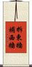 拆東牆補西牆 Scroll