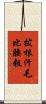 拔根汗毛比腰粗 Scroll