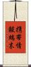 携帯情報端末 Scroll