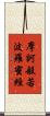 摩訶般若波羅蜜經 Scroll
