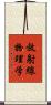放射線物理学 Scroll