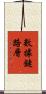 數據鏈路層 Scroll