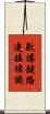 數據鏈路連接標識 Scroll