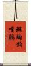 斑胸鉤嘴鶥 Scroll