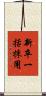 新卒一括採用 Scroll