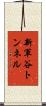 新軍谷トンネル Scroll