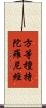 方等檀持陀羅尼經 Scroll