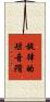 旋律的短音階 Scroll
