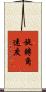 旋轉角速度 Scroll