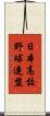 日本高校野球連盟 Scroll