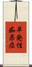 早発性痴呆症 Scroll
