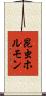 昆虫ホルモン Scroll