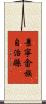 景寧畬族自治縣 Scroll