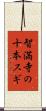 智満寺の十本スギ Scroll