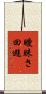 曖昧さ回避 Scroll