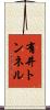 有井トンネル Scroll