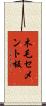 木毛セメント板 Scroll