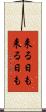 来る日も来る日も Scroll