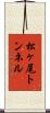 松ヶ尾トンネル Scroll