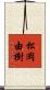 松岡由樹 Scroll