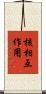 核相互作用 Scroll