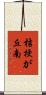桔梗が丘南 Scroll