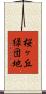 桜ヶ丘緑団地 Scroll