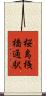 桜島桟橋通駅 Scroll