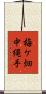 梅ケ畑中縄手 Scroll