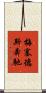 梅塞德斯奔馳 Scroll