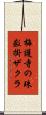 梅護寺の珠数掛ザクラ Scroll