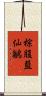 棕腹藍仙鶲 Scroll