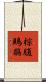 棕腹鵙鶥 Scroll