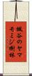 楓谷のヤマモミジ樹林 Scroll