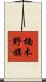 楠木野旗 Scroll