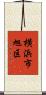 横浜市旭区 Scroll
