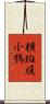 橫斑腹小鴞 Scroll