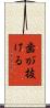 歯が抜ける Scroll
