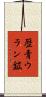 歴青ウラン鉱 Scroll