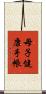 母子健康手帳 Scroll
