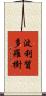 波利質多羅樹 Scroll