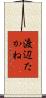 渡辺たかね Scroll