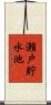 瀬戸貯水池 Scroll