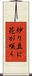 炒り豆に花が咲く Scroll