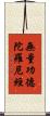 無量功德陀羅尼經 Scroll