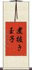 煮抜き玉子 Scroll
