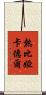 熱比婭·卡德爾 Scroll